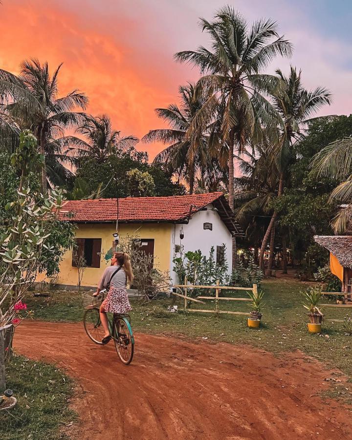 Margarita Village Kite School カルピティヤ エクステリア 写真